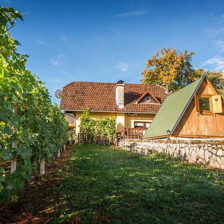 Vineyard Cottage Hocevar Novo Mesto Esterno foto