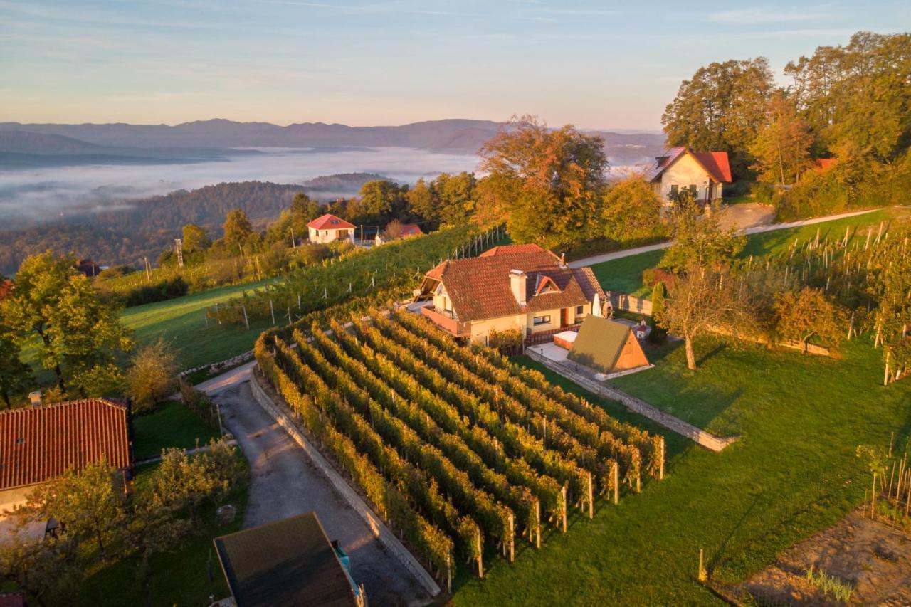 Vineyard Cottage Hocevar Novo Mesto Esterno foto