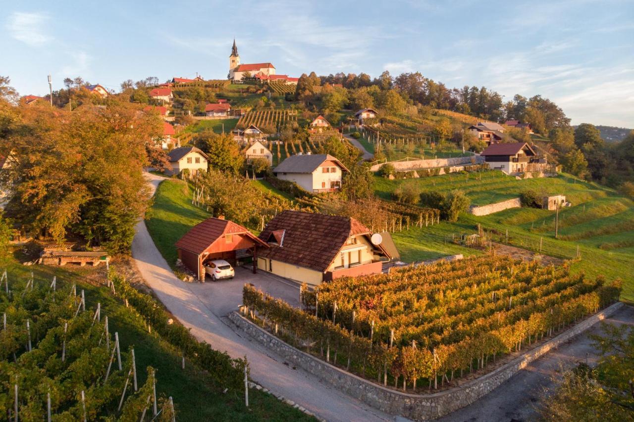 Vineyard Cottage Hocevar Novo Mesto Esterno foto